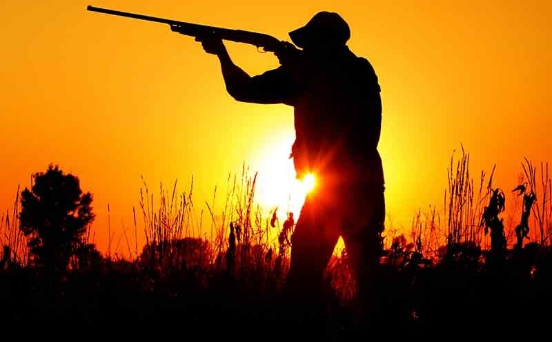 Les dangers de la chasse en brousse - FCM 25.00